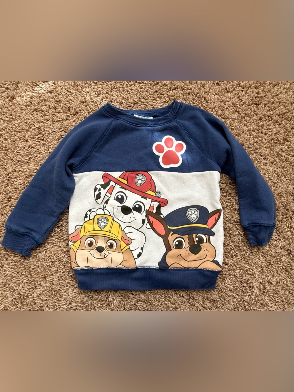 Nickelodeon Paw Patrol Sweatshirt Size 3T